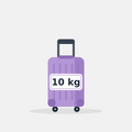 10 kg luggage
