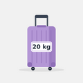 20 kg luggage