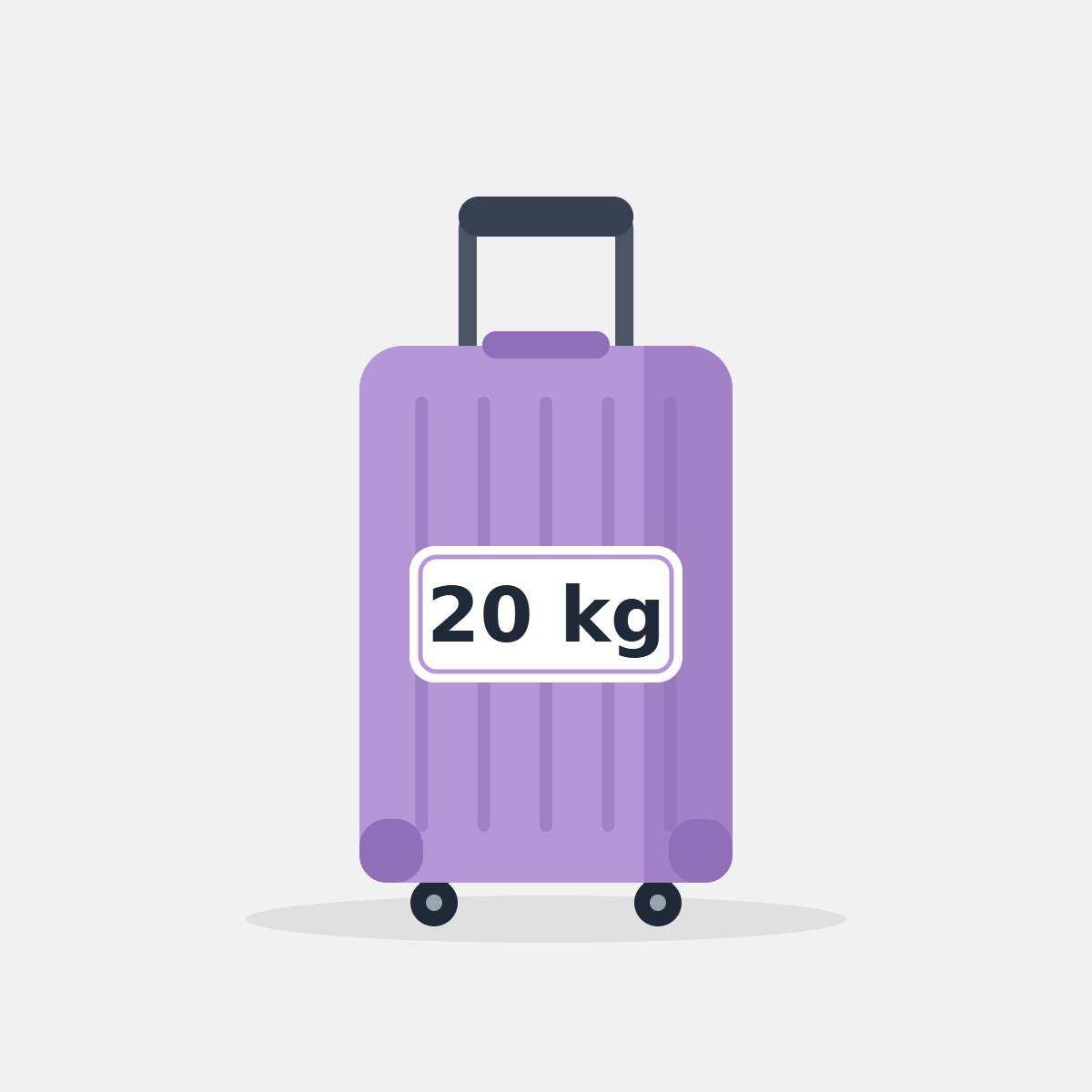 20 kg luggage